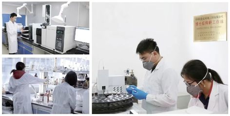 六五環境日|中科鼎實沖鋒在前，以技術創新守護綠水青山